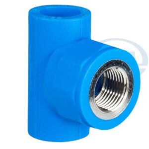 Tê Ren Trong PPR Bình Minh